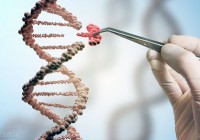 基因编辑技术消灭活物体内的HIV