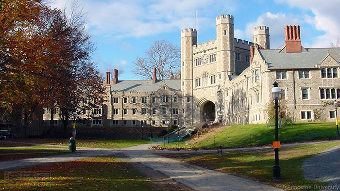 普林斯顿大学允许6种性别选项